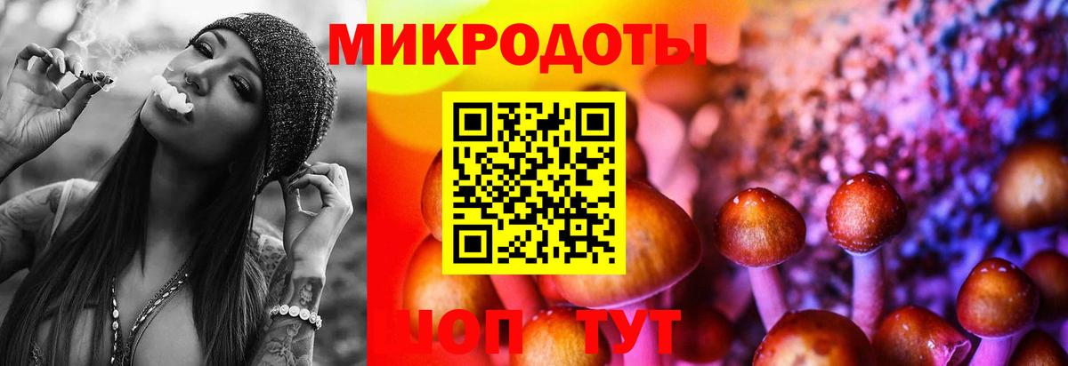 Галлюциногенные грибы прущие грибы Ижевск