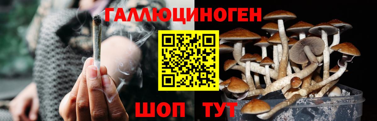 магазин продажи   Галлюциногенные грибы MAGIC MUSHROOMS  Вход с VPN  Ижевск  Псилоцибиновые грибы ЛСД 